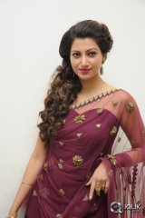Hamsa Nandini at Bengal Tiger Movie Audio Launch